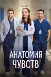Анатомия чувств (сериал)