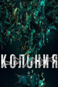 Колония