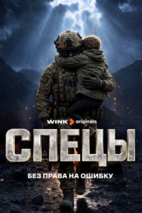 Спецы (сериал)